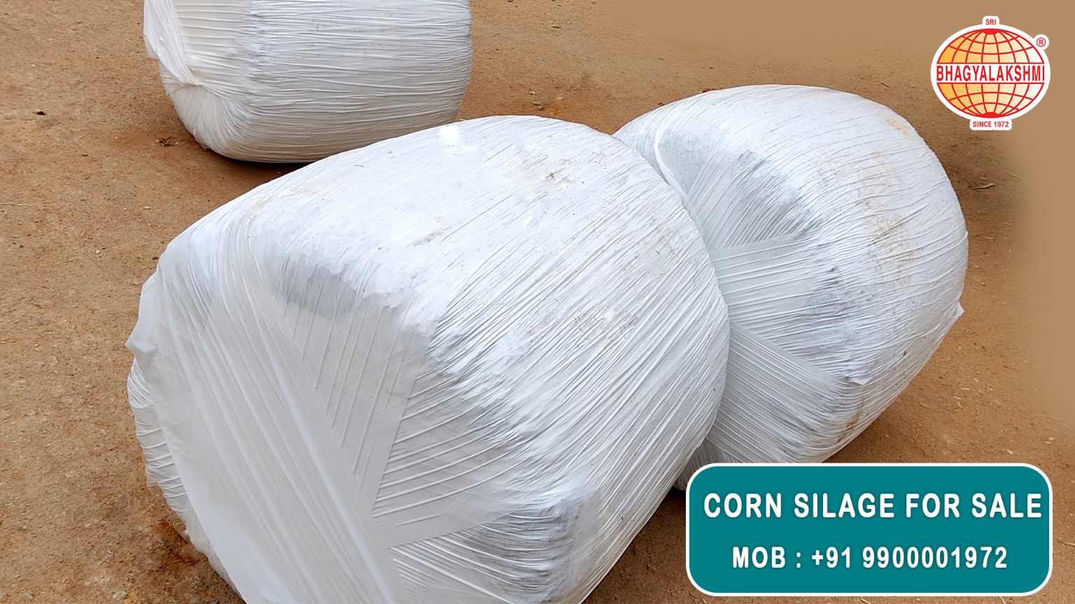 Corn Silage Suppliers in Bangalore | Corn Silage for Sale  |  Corn Silage, Baby Corn Silage manufacturers, suppliers & exporters in Bangalore | corn silage for sale in bangalore |  Sri Bhagyalakshmi Farms Corn Silage Bangalore| Silage Balers | Animal Feed Manufacturers | Production of Silage |Cattle feed manufacturers & suppliers - SBL Farms is solving the biggest fodder crisis in India, by supplying Silage bales, Bailing machines to dairy farmers, Cooperatives, Animal Husbandry | Best Cattle Feed Manufacturers & Silage Suppliers in India | Indias Best Baled Silage Producers